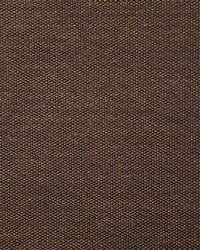 Pindler and Pindler 7316 Clearfield Brown Fabric