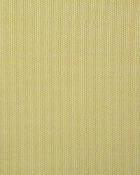 Pindler and Pindler 7316 Clearfield Citrus Fabric