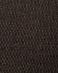 Pindler and Pindler 7316 Clearfield Java Fabric