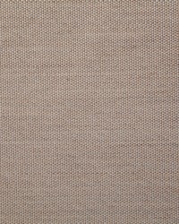 Pindler and Pindler 7316 Clearfield Mocha Fabric
