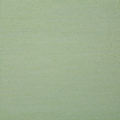Pindler and Pindler 7316 Clearfield Palm in sunbelievable Green Multipurpose SOLUTION  Blend Fire Rated Fabric Solid Outdoor   Fabric