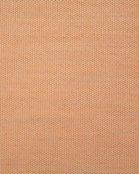7316 Clearfield Papaya by  Pindler and Pindler 