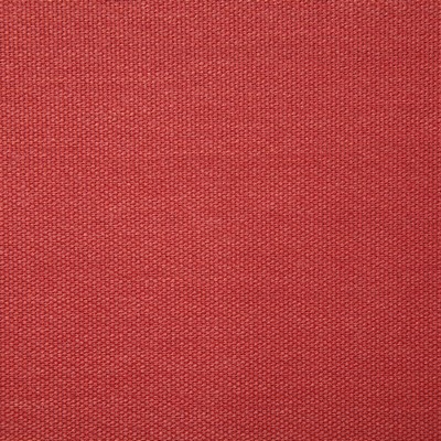 Pindler and Pindler 7316 Clearfield Peony in sunbelievable Orange Multipurpose SOLUTION  Blend Fire Rated Fabric Solid Outdoor   Fabric