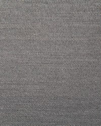 Pindler and Pindler 7316 Clearfield Pewter Fabric