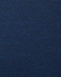 7316 Clearfield Sapphire by  Pindler and Pindler 