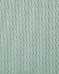 7316 Clearfield Seaglass by  Pindler and Pindler 