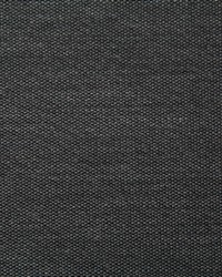 Pindler and Pindler 7316 Clearfield Stone Fabric
