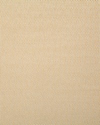 Pindler and Pindler 7316 Clearfield Tan Fabric