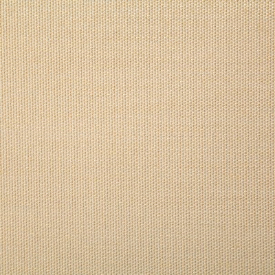 Pindler and Pindler 7316 Clearfield Tan in sunbelievable Beige Multipurpose SOLUTION  Blend Fire Rated Fabric Solid Outdoor   Fabric