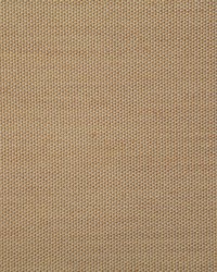 Pindler and Pindler 7316 Clearfield Wicker Fabric