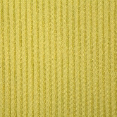 Pindler and Pindler 7317 Eastport Citrus in sunbelievable Green Upholstery SOLUTION  Blend Fire Rated Fabric Patterned Chenille  Stripes and Plaids Outdoor   Fabric