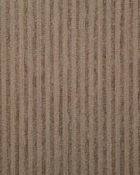 7317 Eastport Mocha by   