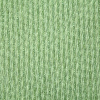 Pindler and Pindler 7317 Eastport Palm in sunbelievable Green Upholstery SOLUTION  Blend Fire Rated Fabric Patterned Chenille  Stripes and Plaids Outdoor   Fabric