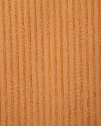 7317 Eastport Papaya by   