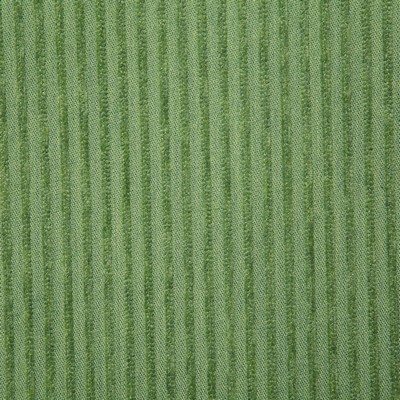 Pindler and Pindler 7317 Eastport Spring in sunbelievable Green Upholstery SOLUTION  Blend Fire Rated Fabric Patterned Chenille  Stripes and Plaids Outdoor   Fabric