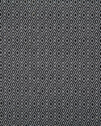 Pindler and Pindler 7318 Hedgerow Domino Fabric