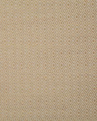 Pindler and Pindler 7318 Hedgerow Wicker Fabric