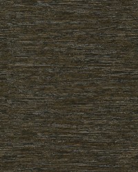 Dylan Burl by  P K Lifestyles 