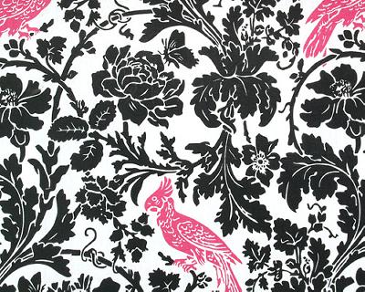 Premier Prints Barber Black Candy Pink in Premier Prints - Cotton Prints Black Drapery 7  Blend Birds and Feather  Leaves and Trees   Fabric