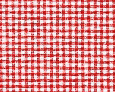Premier Prints Lancaster Lipstick in Premier Prints - Cotton Prints Red Drapery-Upholstery 7  Blend Gingham Check  Plaid and Tartan Small Scale Plaid   Fabric