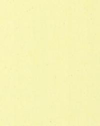 Twill Natural by  Premier Prints 