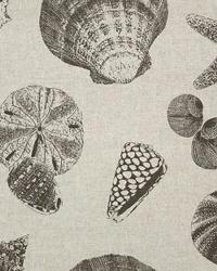 Shells Black Linen by  Premier Prints 