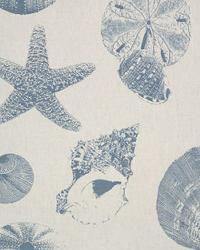 Shells Pacific Natural by  Premier Prints 