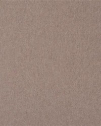 Highland Wool Taupe by   