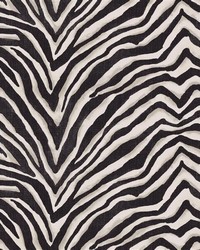 Terranea Zebra Ebony by  Greenhouse Fabrics 