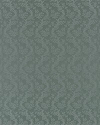 Climbing Rose Damask Celadon by   