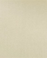 Clotilde Moire Pearl by   