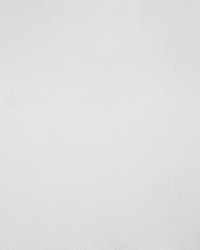 AYNOVA WHITE by  Richloom 