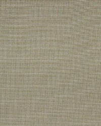 Aynova Birch by  Richloom 