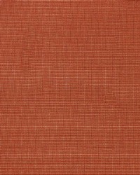 Aynova Conch by  Richloom 