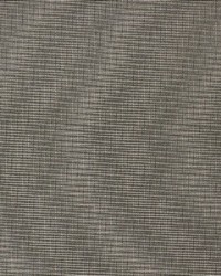 Aynova Driftwood by  Richloom 