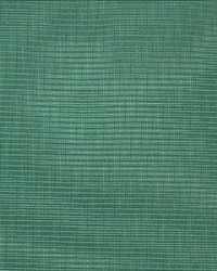 Aynova Turquoise by  Richloom 