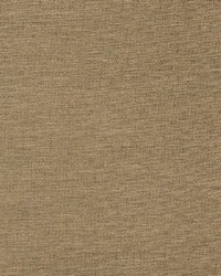 Aypace Linen by  Richloom 