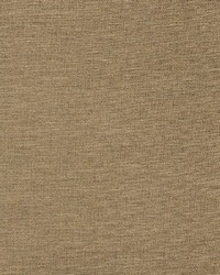 Aypace Linen by  Richloom 