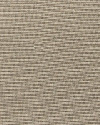 Aypace Stone by  Richloom 