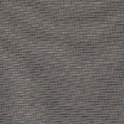 Richloom Aypace Zinc in Charleston Solution  Blend Solid Outdoor   Fabric