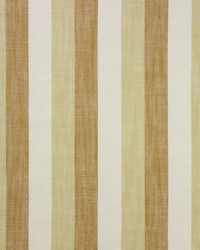 Beaumont Curry by  Richloom 