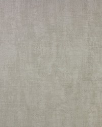 Bergdorf Driftwood by  Richloom 