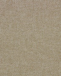 Chamberlain Grain by  Richloom 