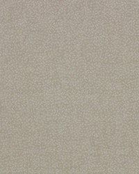 Chamberlain Linen by  Richloom 