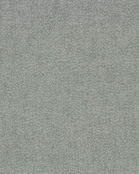 Chamberlain Rain by  Richloom 