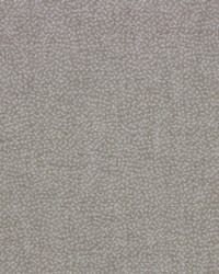 Chamberlain Stone by  Richloom 