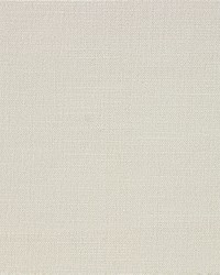 Classon Canvas by  Richloom 