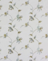 Clem Celadon by  Richloom 