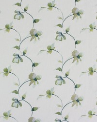 Clem Herbal by  Richloom 