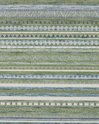 Finsbury Agave by  Richloom 